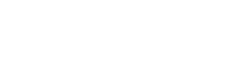 SIX PALMS - finest coconut coal